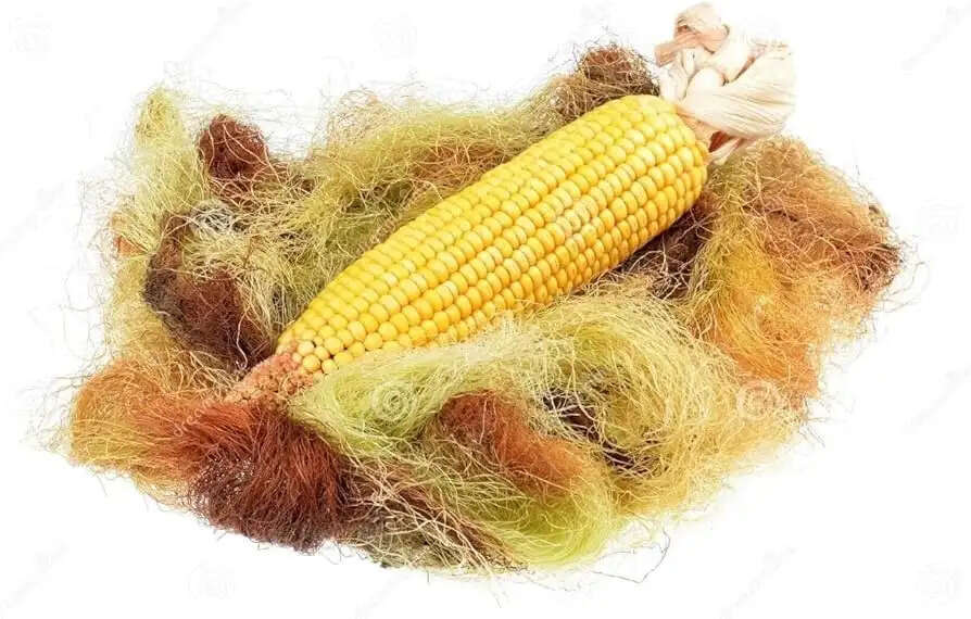 मकई रेशम के अद्भुत स्वास्थ्य लाभ: जानें कैसे यह आपकी सेहत को सुधार सकता है