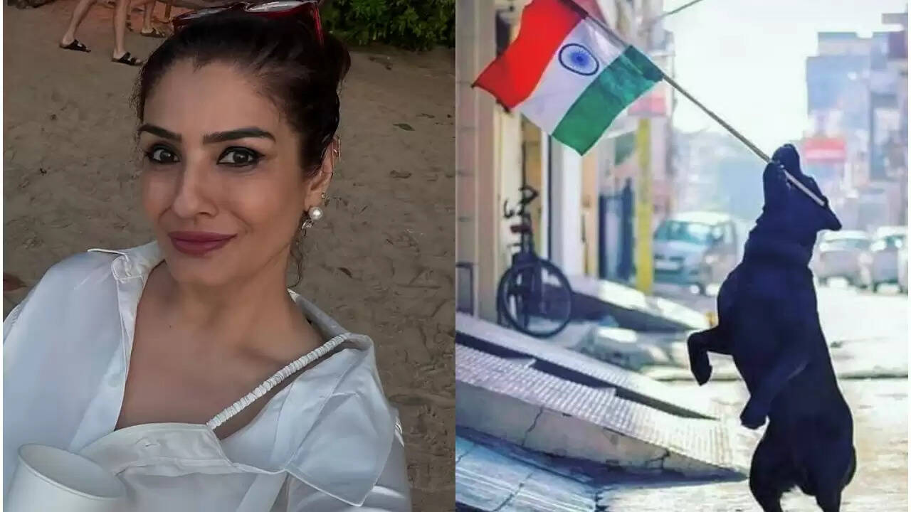 रवीना टंडन ने स्वतंत्रता दिवस पर आवारा कुत्तों के लिए उठाई आवाज