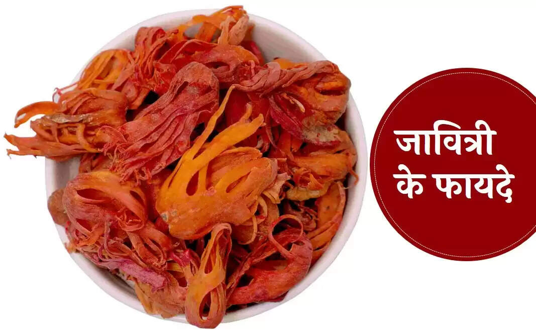जावित्री के अद्भुत फायदे: स्वास्थ्य और सौंदर्य के लिए उपयोगी
