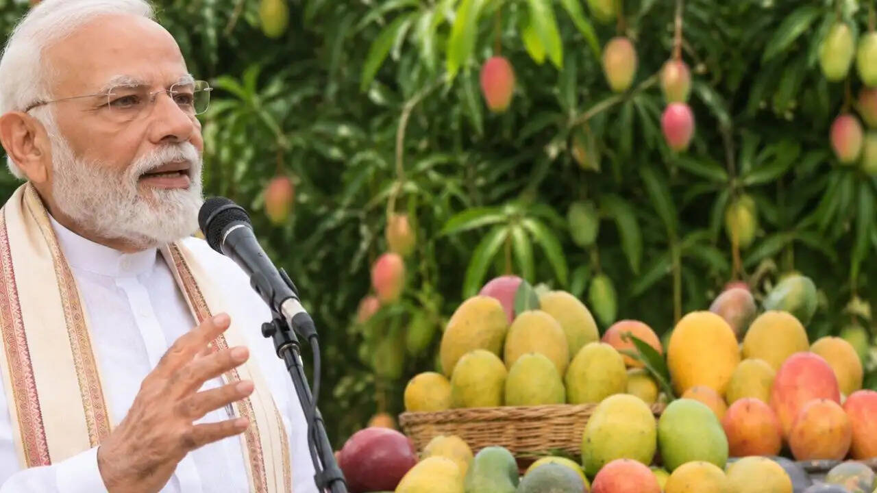 गर्मियों में आम की विविधता: भारत के फलों का राजा