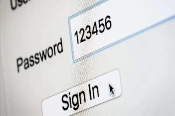 भारत में सबसे अधिक उपयोग किए जाने वाले पासवर्ड की सूची में '123456' का दबदबा