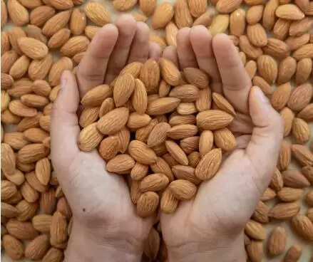 सर्दियों में बादाम के फायदे: त्वचा और बालों के लिए लाभकारी