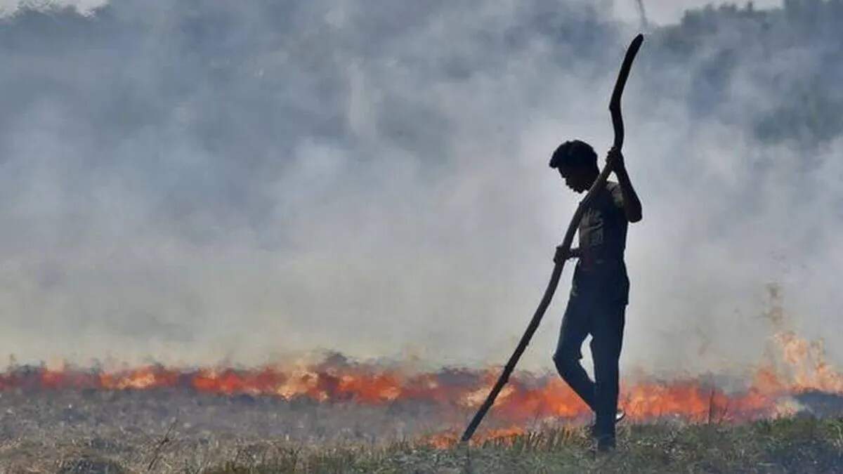 कैथल में पराली जलाने के मामलों में कमी, किसानों की जागरूकता का असर
