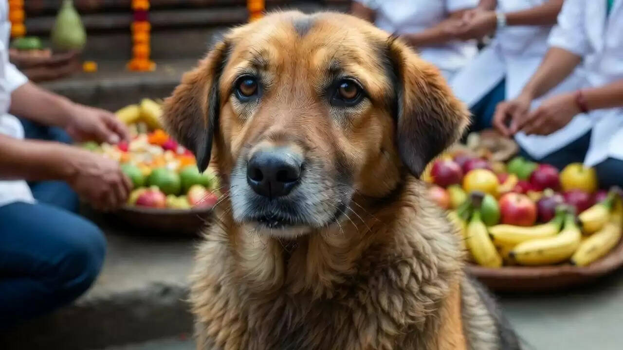 बिजनौर के मंदिर में चमत्कारी कुत्ते की पूजा: आस्था या अंधविश्वास?