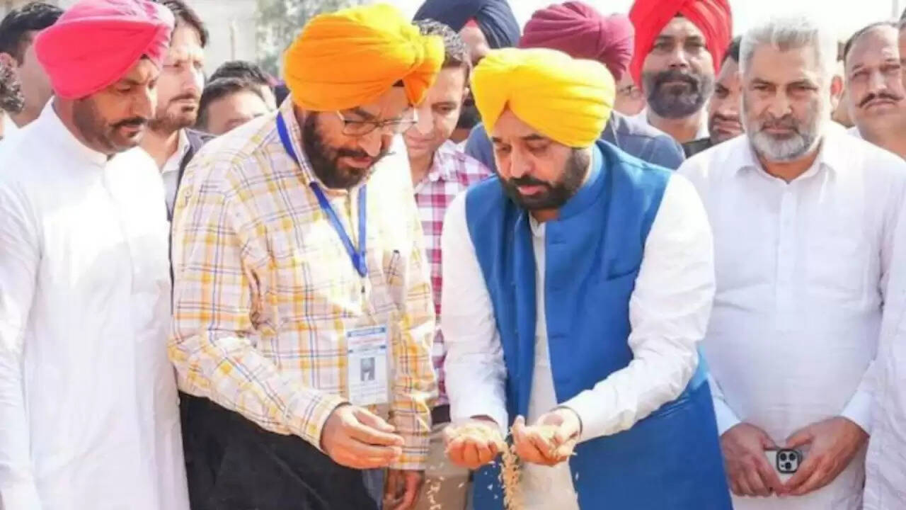 पंजाब में धान खरीद का नया रिकॉर्ड: किसानों के लिए उम्मीद की किरण