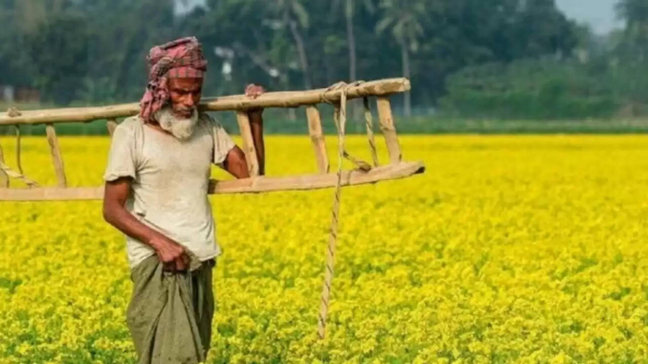 किसानों के लिए खुशखबरी: पीएम किसान योजना की 20वीं किस्त का इंतजार खत्म