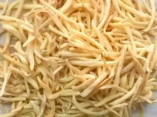 सफेद मूसली: स्वास्थ्य के लिए लाभकारी औषधि