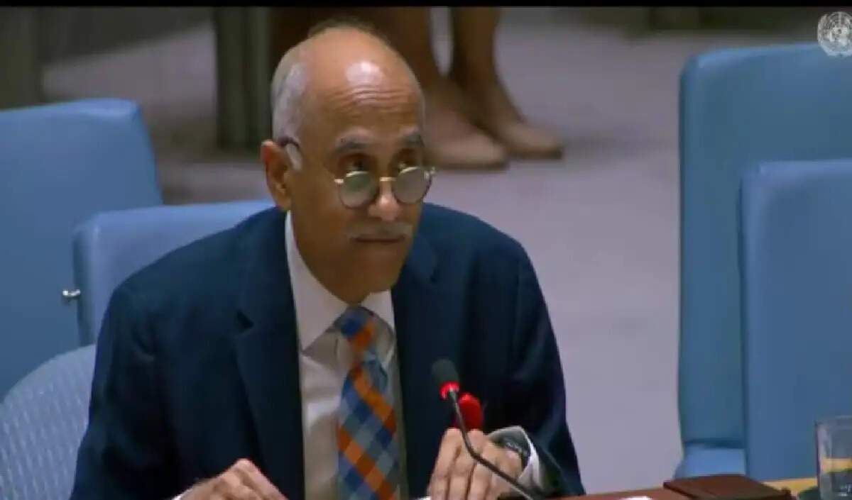 भारत ने पाकिस्तान को UNSC में आतंकवाद के समर्थन पर चेताया