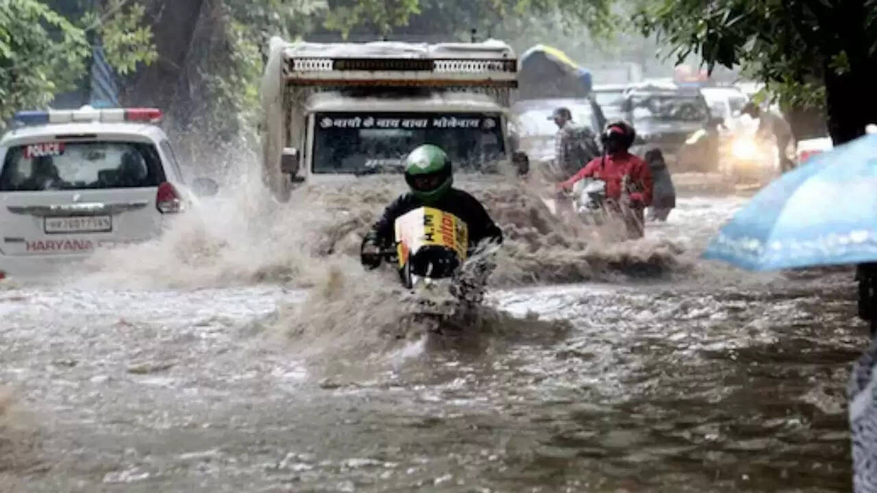 गुरुग्राम में जलभराव से परेशान व्यक्ति ने भारत छोड़ने का लिया फैसला, सोशल मीडिया पर मचा हंगामा
