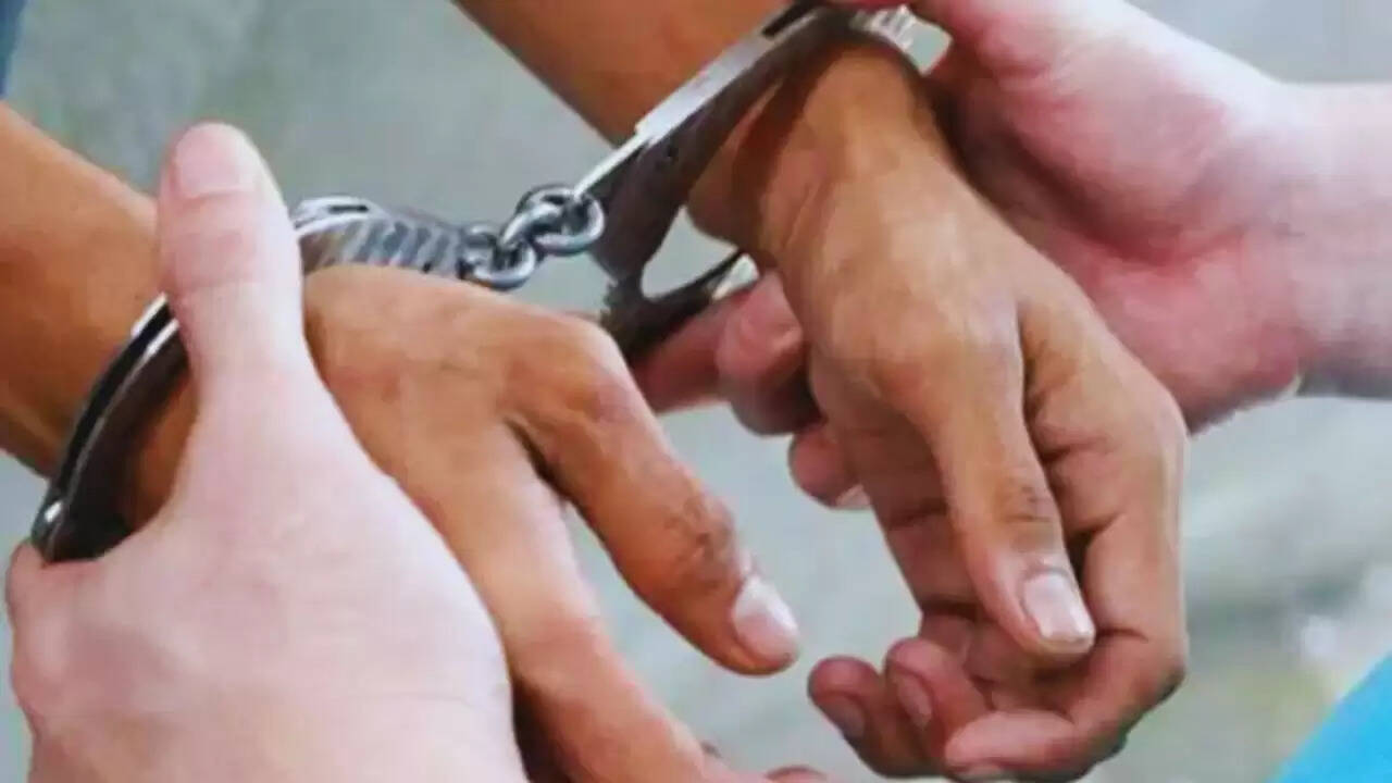 दिल्ली धमाके के बाद हरियाणा में कार डीलर की गिरफ्तारी: क्या है साजिश का सच?