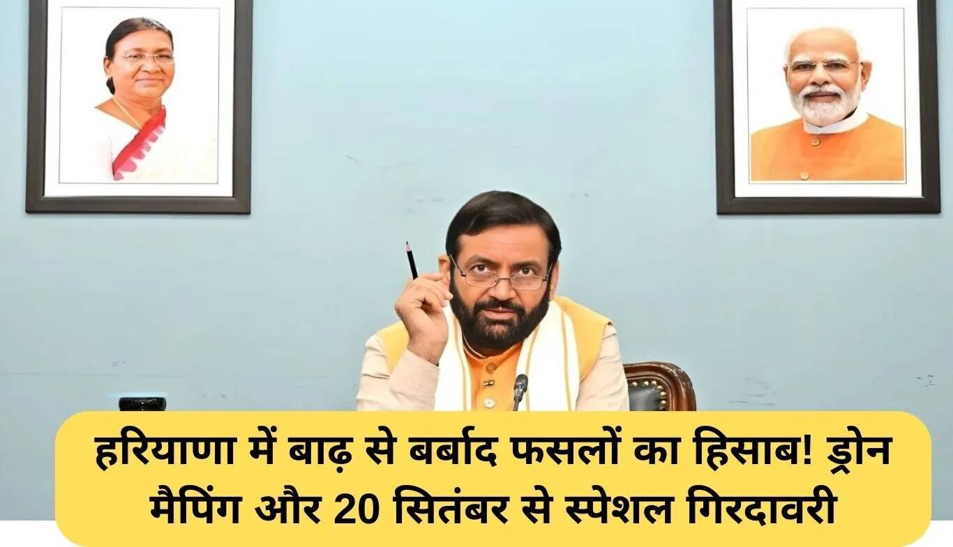 हरियाणा में बाढ़ राहत: फसलों के नुकसान का आकलन और विशेष गिरदावरी