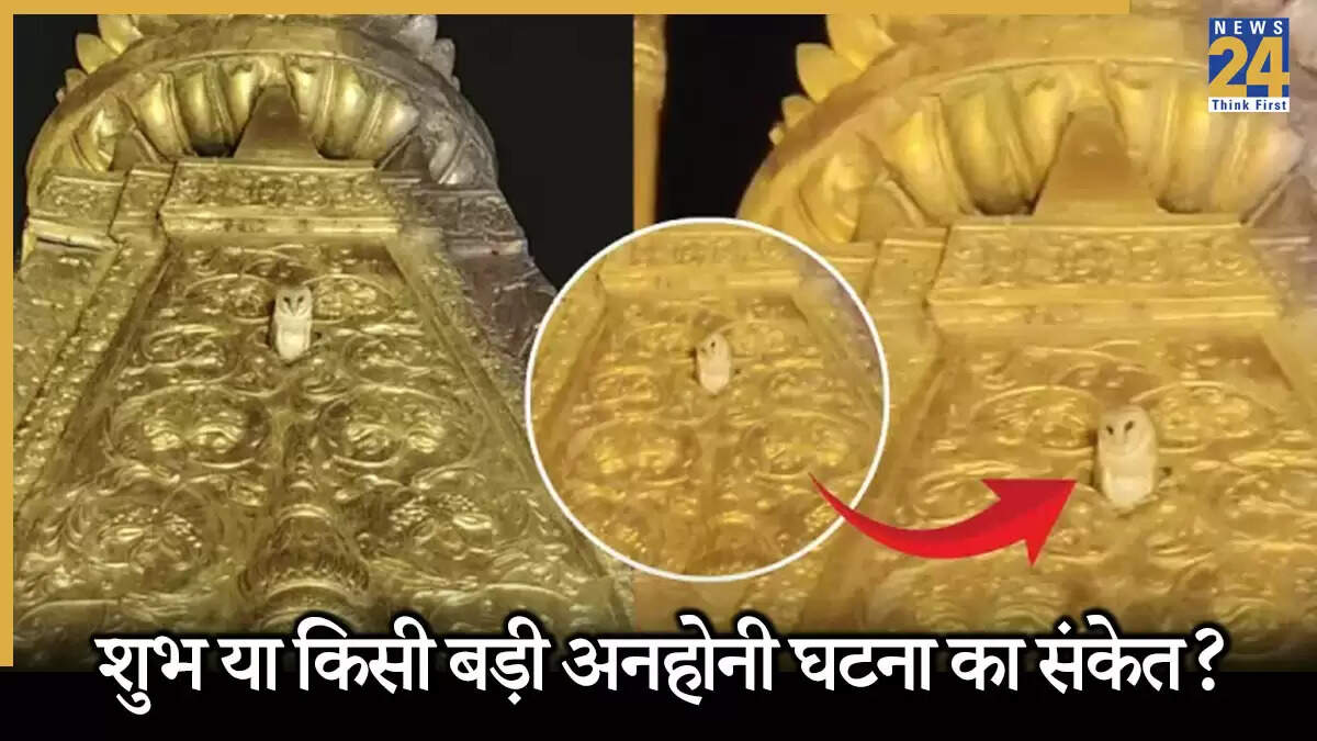 काशी विश्वनाथ मंदिर में सफेद उल्लू का रहस्य: क्या है मां लक्ष्मी का संकेत?