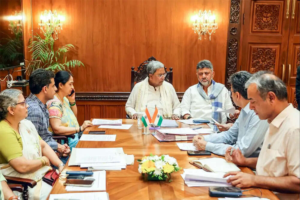दक्षिण भारत में राजनीतिक स्थिरता और विकास की कहानी