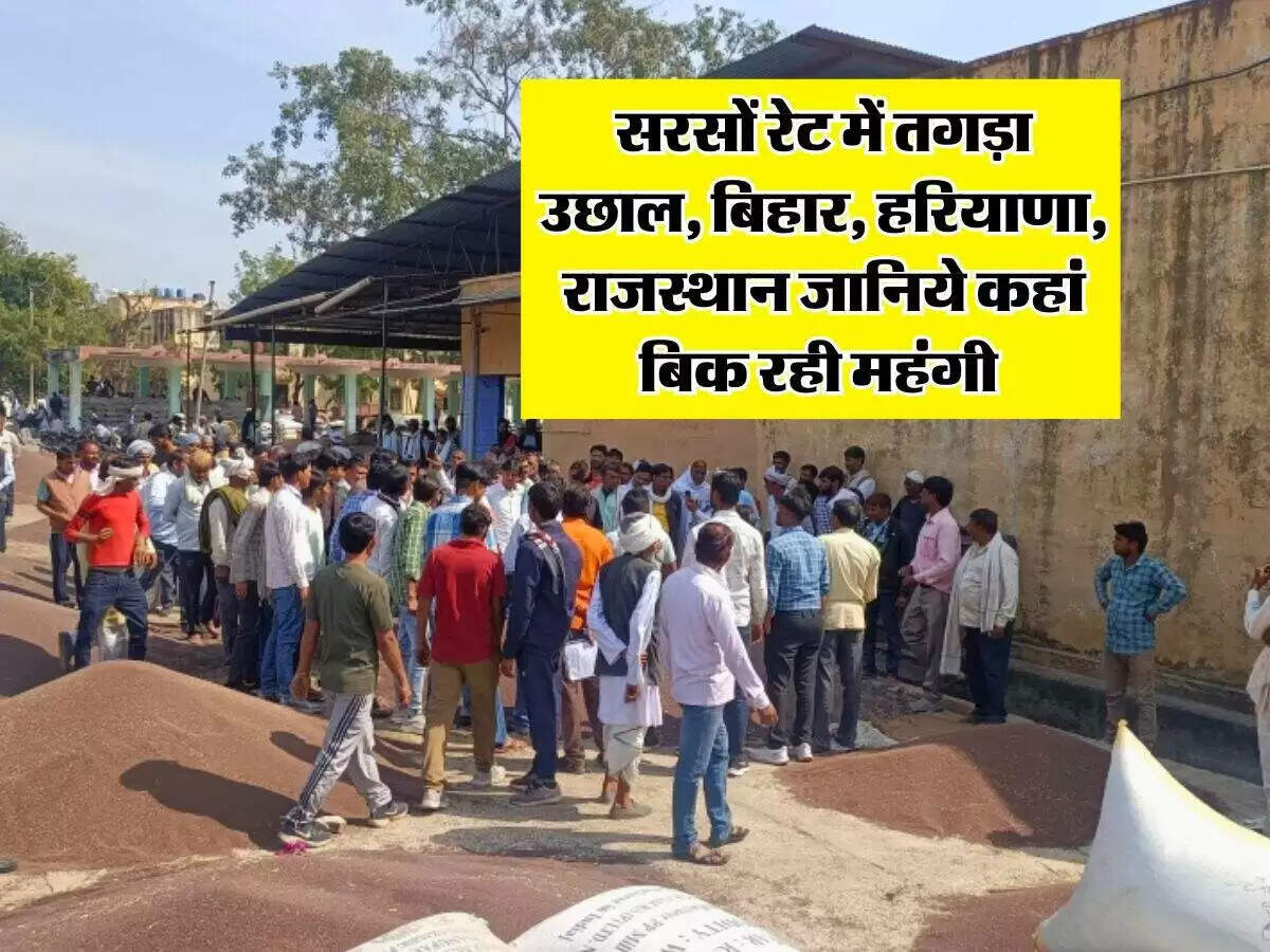 सरसों के दामों में भारी वृद्धि, मंडियों में 7800 से 7900 रुपये प्रति क्विंटल तक पहुंचा