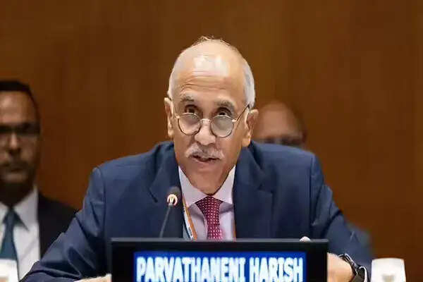 भारत ने यूएन में समुद्री सुरक्षा पर जताई चिंता, व्यापारिक जहाजों को निशाना बनाना अस्वीकार्य