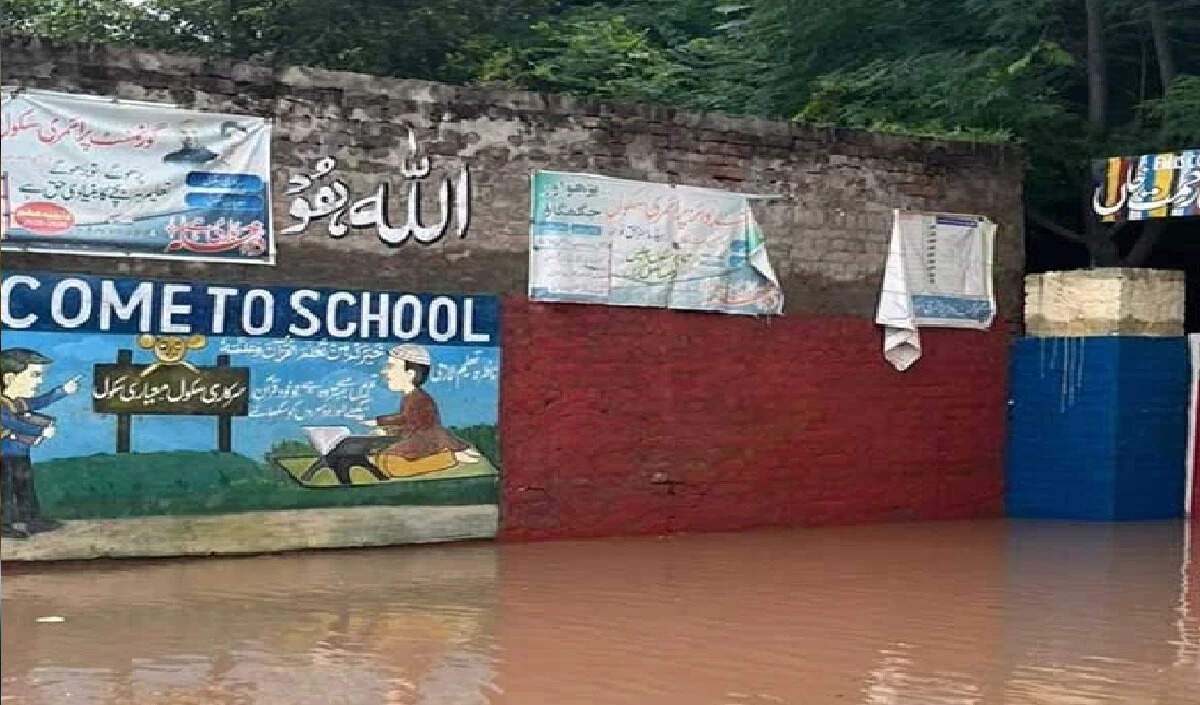 पाकिस्तान में बाढ़ से नुकसान की जिम्मेदारी ले सरकार: चौधरी परवेज़ इलाही