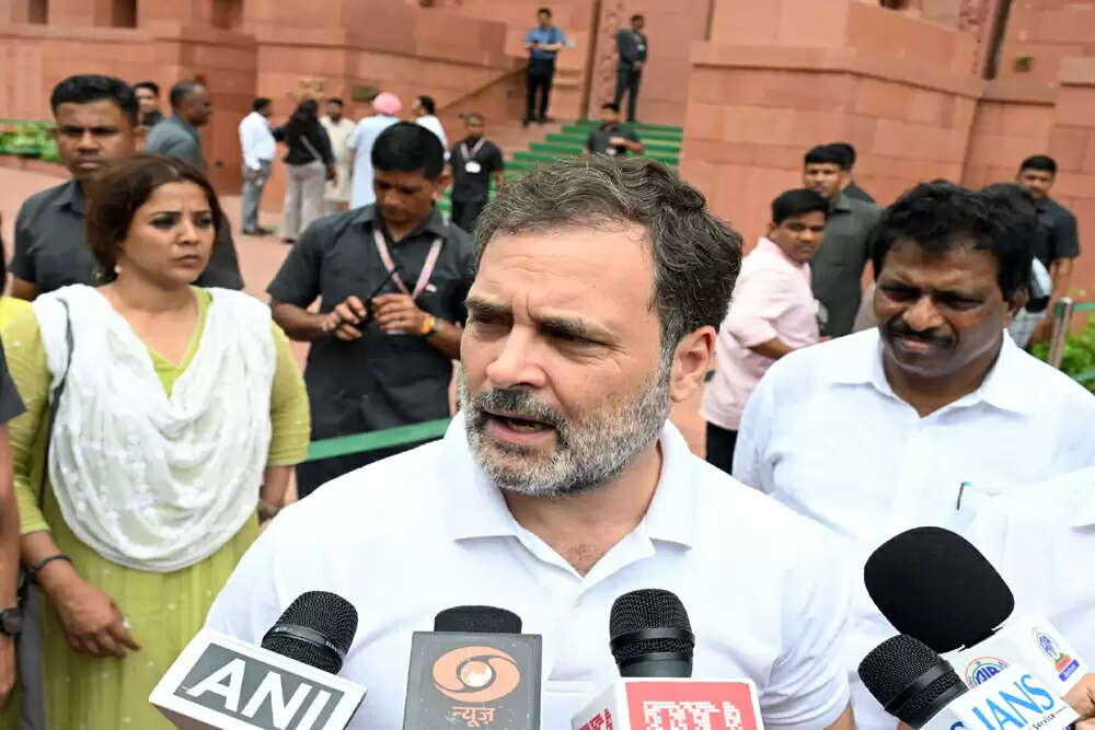 राहुल गांधी ने बिहार में वोट चोरी के आरोपों पर चुनाव आयोग को घेरा