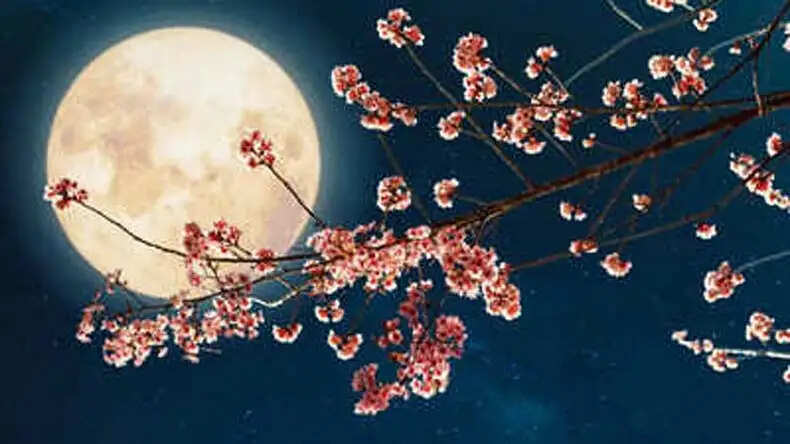 चैत्र पूर्णिमा: इस दिन करें विशेष दान और उपाय