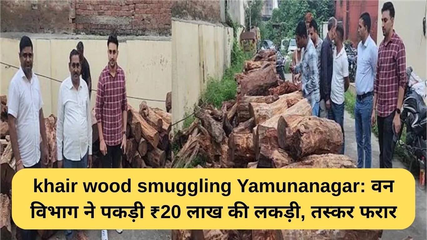 यमुनानगर में खैर लकड़ी तस्करी: वन विभाग ने ₹20 लाख की लकड़ी की बरामदगी की