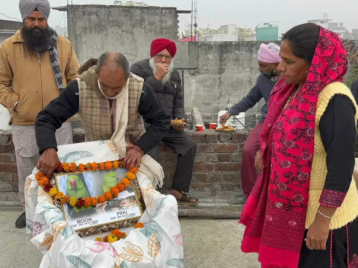 पंजाब में पालतू तोते की मौत पर परिवार ने निभाई इंसानी रस्में