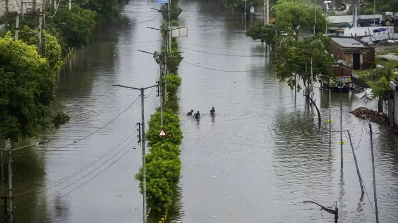 पंजाब में बाढ़ का कहर: 43 लोगों की जान गई, राहत कार्य जारी
