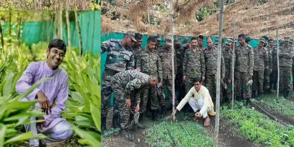 एक खेत, 45 फसलें और पानी की 80 फीसदी तक बचत! मल्टीलेयर कृषि से देशभर के किसान सीख रहे हैं आत्मनिर्भरता का मंत्र