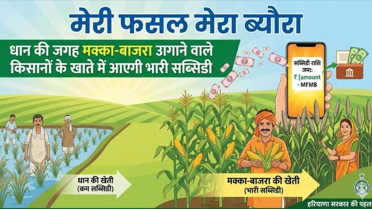 हरियाणा सरकार की नई योजना: धान की खेती छोड़ने पर किसानों को मिलेगा आर्थिक लाभ