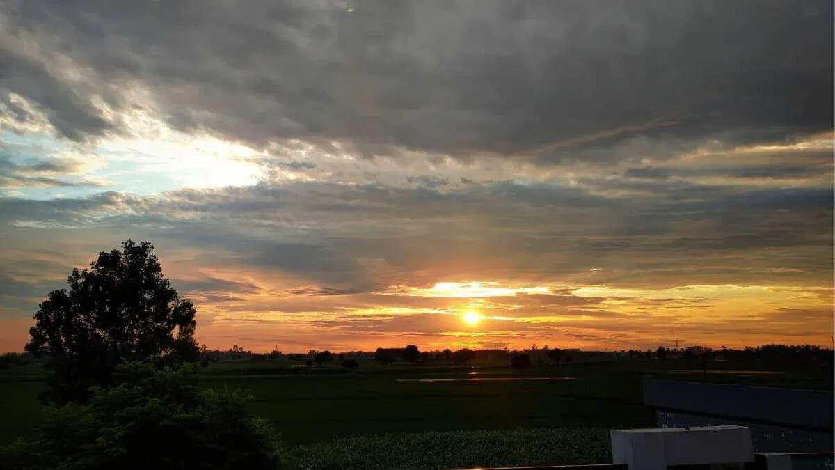 हरियाणा में मौसम में बदलाव: कोहरा और ठंड का असर