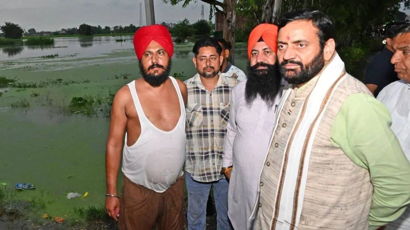 कैथल में बाढ़ और बौना वायरस से किसानों को भारी नुकसान