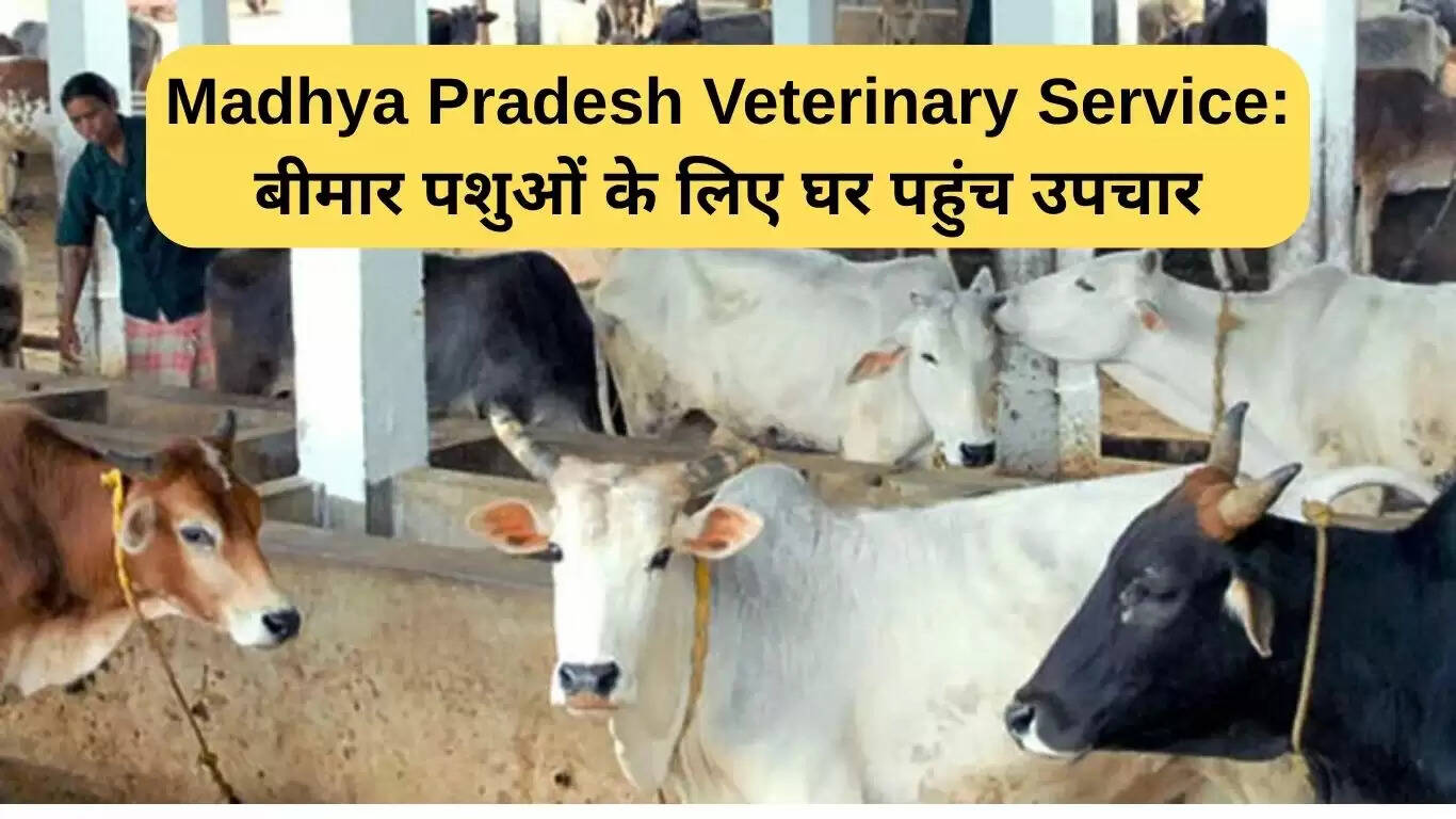 मध्य प्रदेश में पशुओं के लिए घर पर चिकित्सा सेवा की शुरुआत
