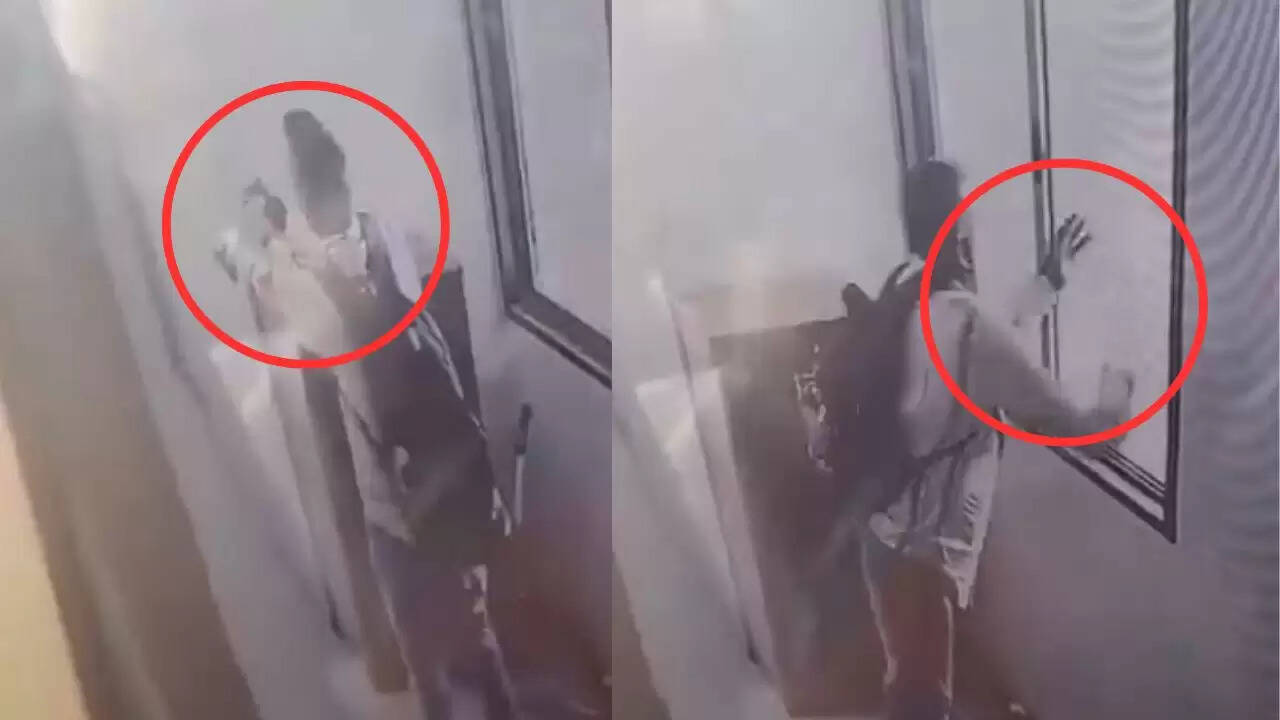 मुंबई में बिल्ली को 9वीं मंजिल से फेंकने की घटना, आरोपी की पहचान हुई
