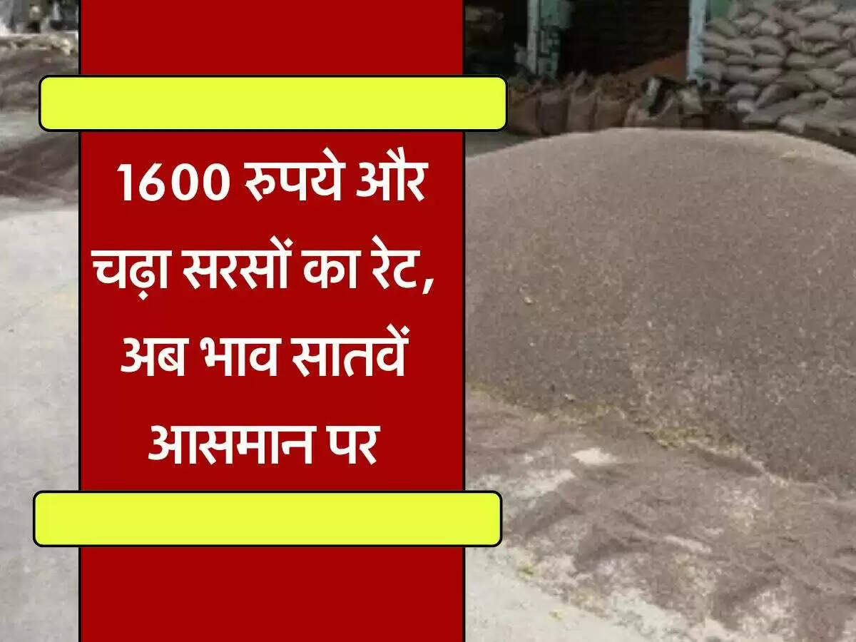 सरसों के दाम में तेजी: किसानों को मिल रहा उच्चतम मूल्य