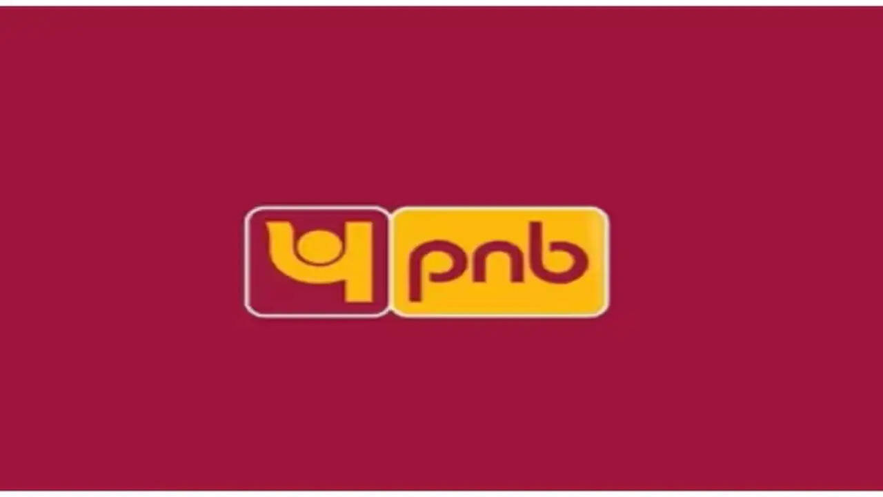 PNB में लोकल बैंक ऑफिसर के लिए 545 पदों पर भर्ती, जानें आवेदन प्रक्रिया