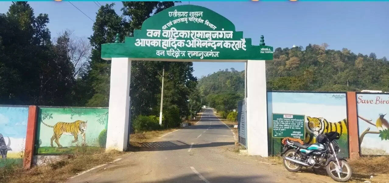छत्तीसगढ़ की रामानुजगंज वन वाटिका : हरियाली, चुनौतियाँ और संरक्षण की पुकार