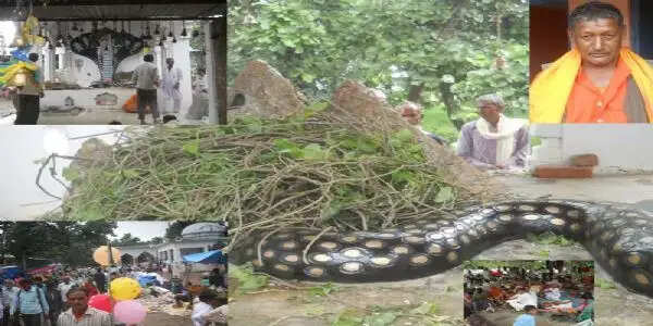 ऐसा मंदिर जहां असाध्य बीमारी से मिलती है निजात , नागपंचमी पर श्रद्धालुओं की जुटी भारी भीड़