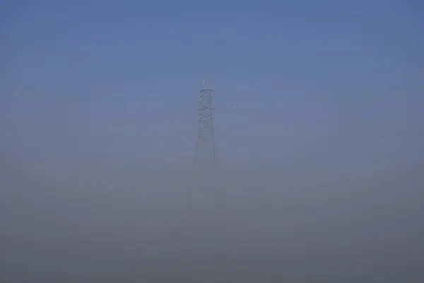 उत्तर प्रदेश में घने कोहरे के कारण बस संचालन पर सख्त नियम