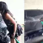 हार्दिक पांड्या और माहिका शर्मा का रोमांस: कार धोते हुए हुआ किस