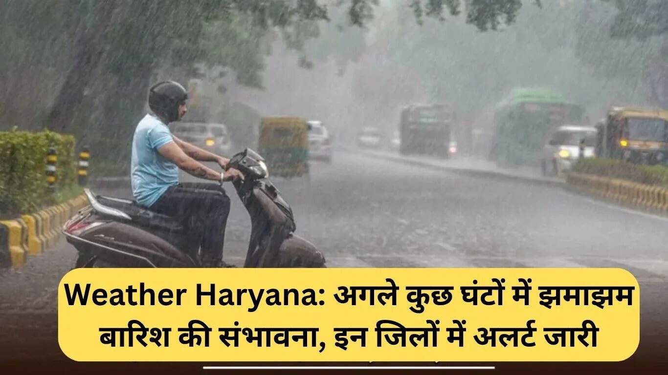 हरियाणा में बारिश का अलर्ट: अगले कुछ घंटों में भारी बारिश की संभावना