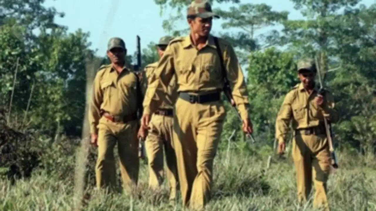 उत्तर प्रदेश में वन विभाग में 708 पदों पर भर्ती की घोषणा