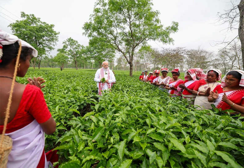 प्रधानमंत्री मोदी का असम दौरा: चाय बागान में मजदूरों के साथ बिताया समय
