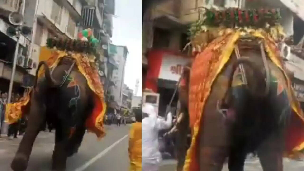 अहमदाबाद रथ यात्रा में हाथी के बेकाबू होने से मची अफरा-तफरी