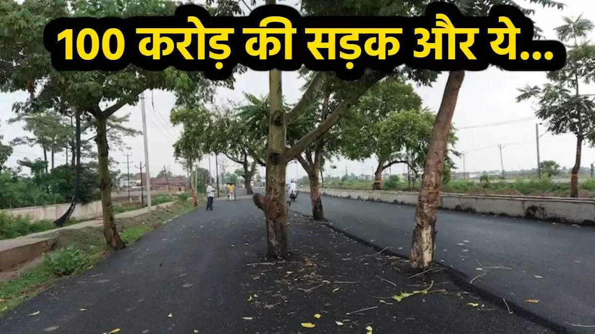 बिहार में 100 करोड़ की सड़क पर पेड़ों की अनोखी कहानी