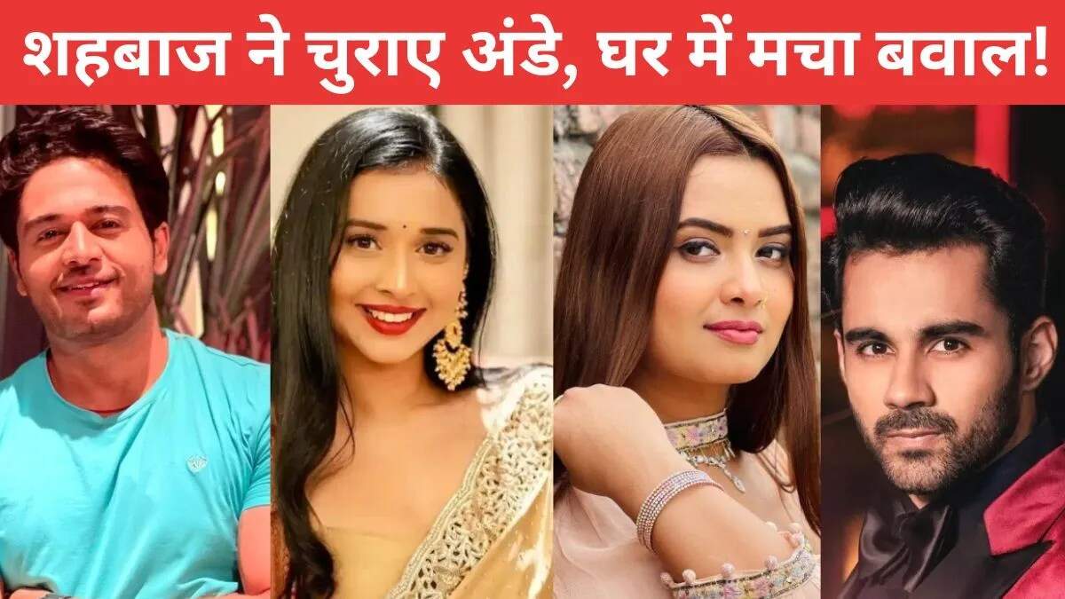 बिग बॉस 19 का 39वां एपिसोड: शहबाज की अंडा चोरी से मचा हंगामा