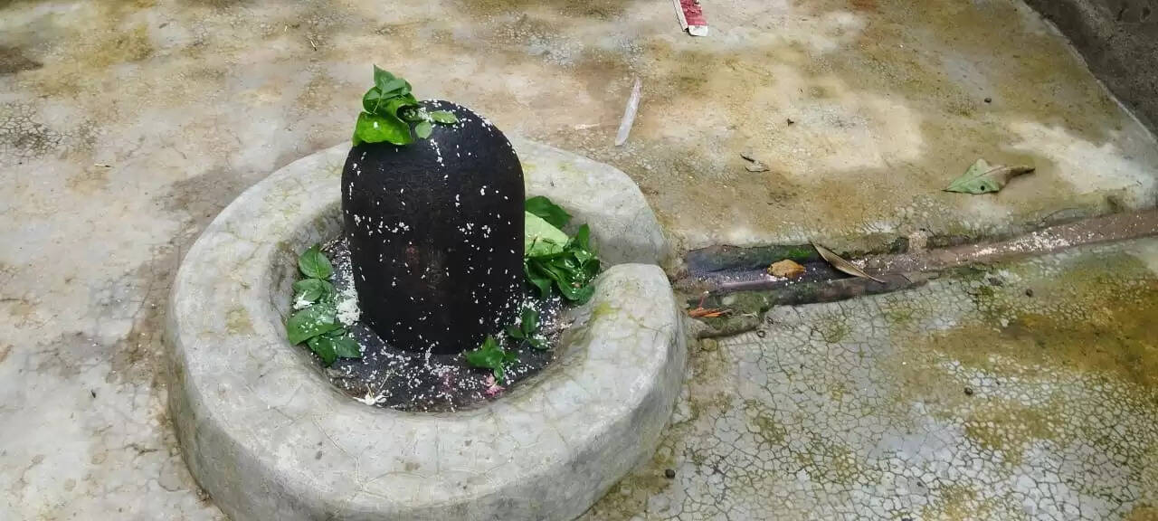 द्वादश ज्योतिर्लिंग के प्रतीक हैं बम्हणी गांव स्थित 12 शिवलिंग