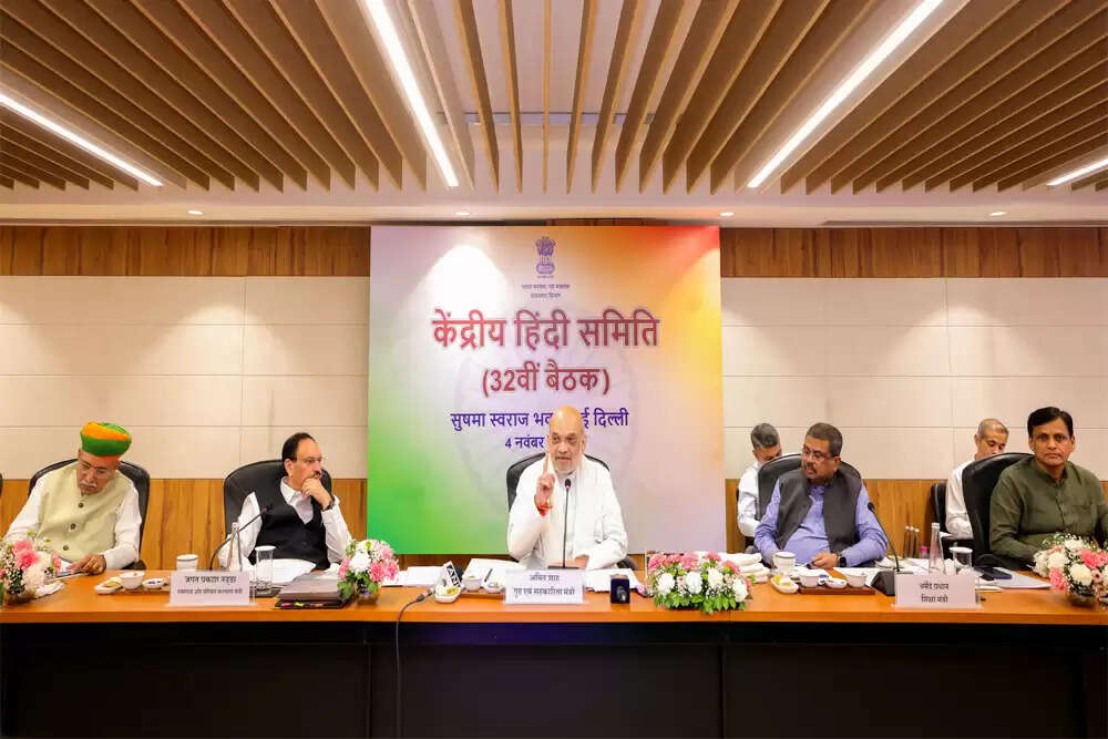 भाषा और राजनीति: सत्ता के नेताओं के बयानों में विरोधाभास
