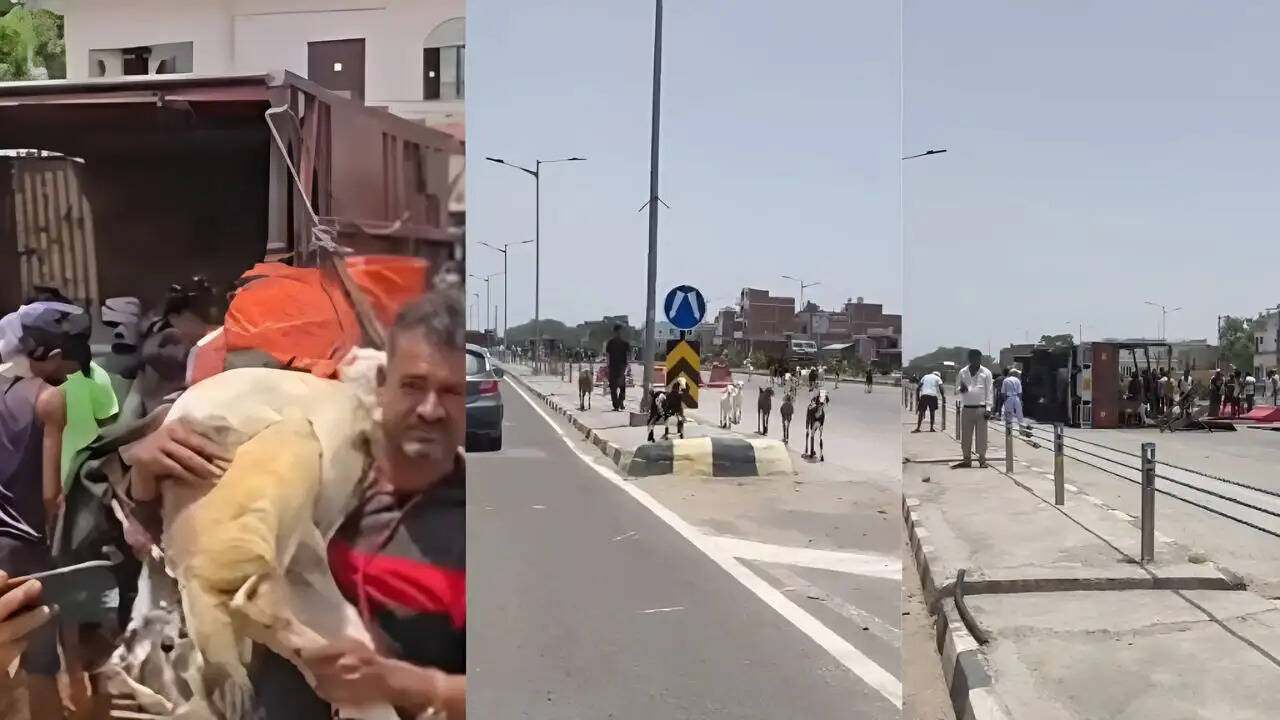 कौशांबी में बकरियों से भरा ट्रक पलटा, लोगों ने की चोरी