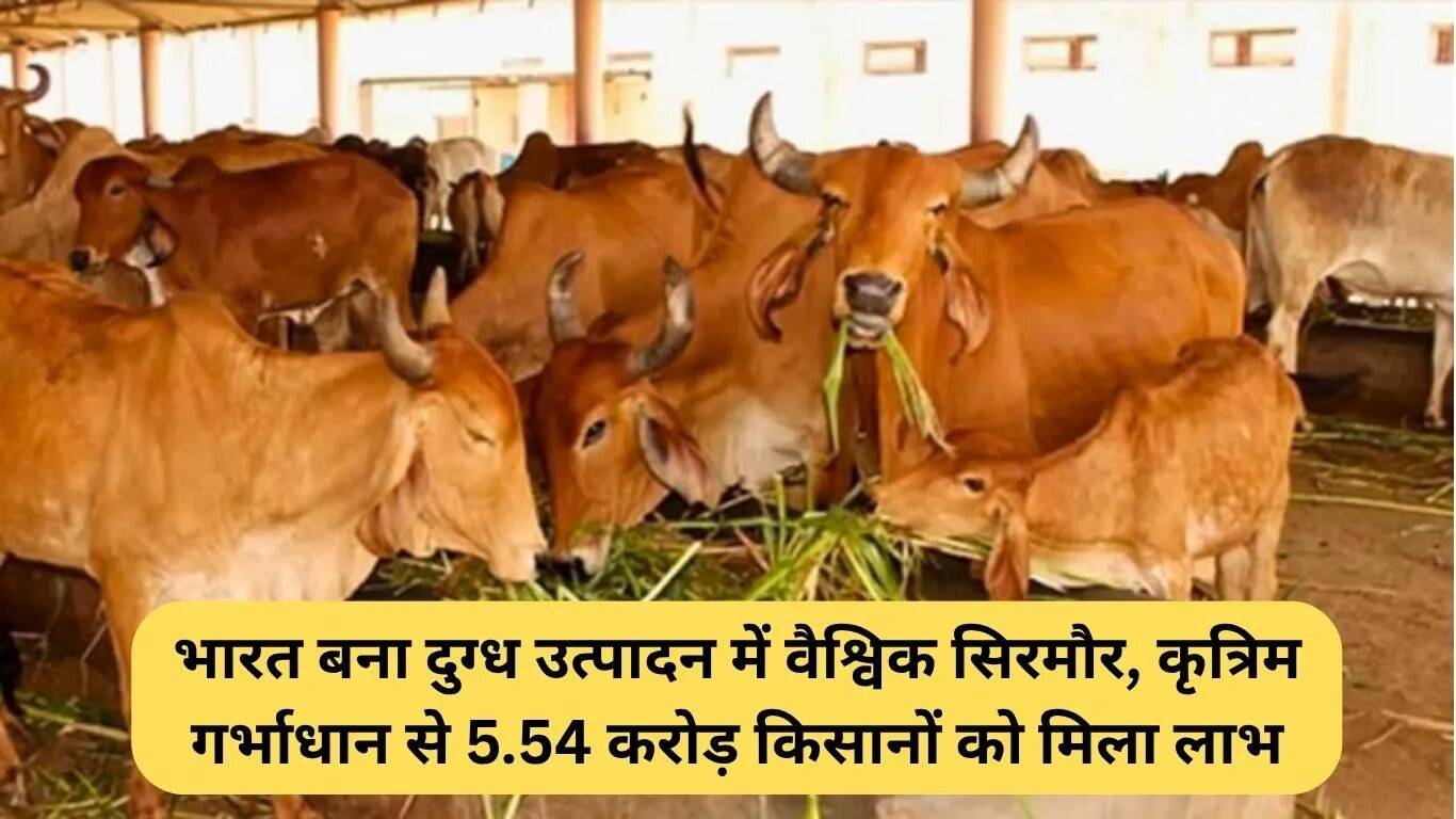 भारत में दूध उत्पादन में वृद्धि: गोकुल मिशन का प्रभाव