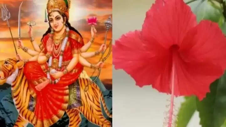 नवरात्रि 2025: देवी दुर्गा को चढ़ाने के लिए विशेष फूलों की जानकारी