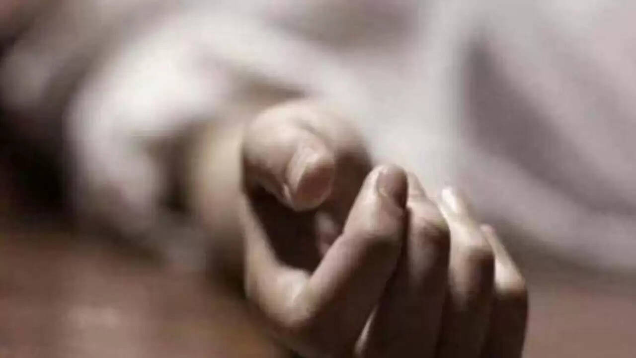 गोवा में प्रेमी ने की युवती की हत्या, विवाद ने लिया भयानक मोड़