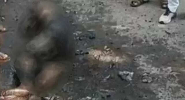 लखनऊ में युवक ने आत्मदाह का प्रयास, गंभीर हालत में अस्पताल में भर्ती